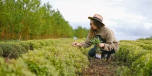 Ragazza accovacciata su un campo coltivato. Porta un cappello di paglia e i capelli lunghi, un maglione beige e jeans blu, sta cogliendo delle erbe.
