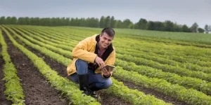 Conduttore Impresa Agricola (I.A.P) gratuito con qualifica UE - GOL 2