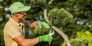 Uomo con guanti da giardino e occhiali di sicurezza pota i rami di un albero